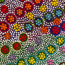 Load image into Gallery viewer, Australiana Wire Headwraps